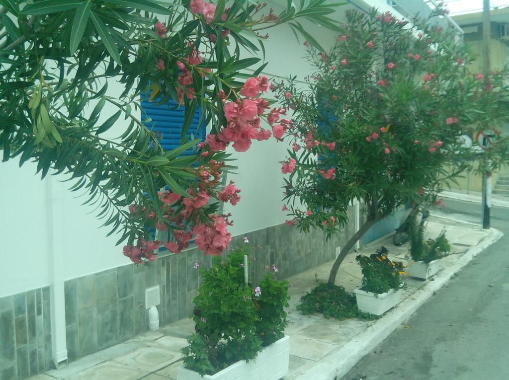 Pension Gina Méthana المظهر الخارجي الصورة